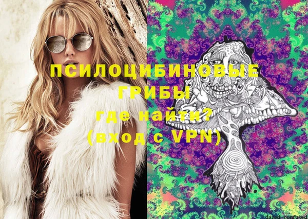 2c-b Медвежьегорск
