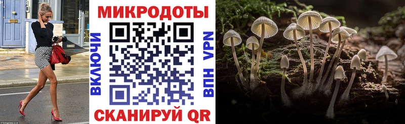 Купить закладки  Обоянь  Псилоцибиновые грибы Psilocybe 