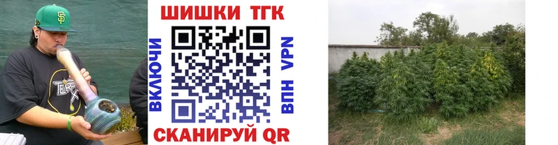 Бошки марихуана SATIVA & INDICA Обоянь